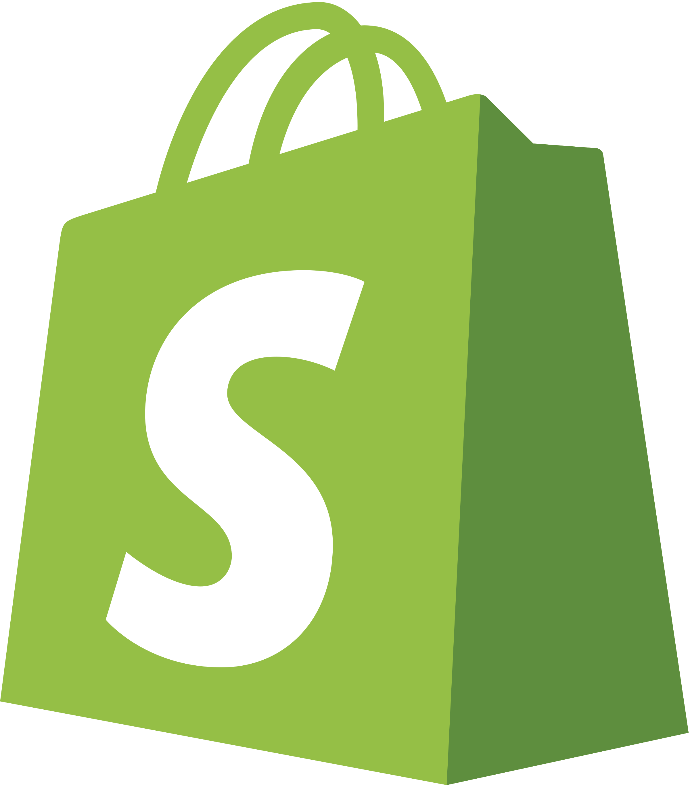 Shopify web site